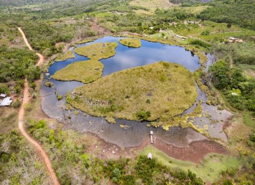 Municipalidad Provincial de San Martín realiza trabajos para la recuperación ambiental de la laguna Andiviela, un espejo de agua ubicado en el distrito de Morales. ANDINA/Difusión