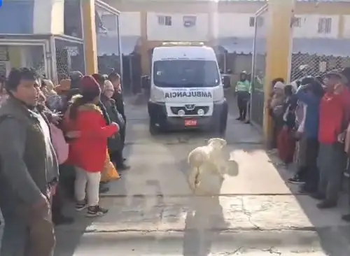 Cinco internos fallecidos por asfixia deja el incendio ocurrido en el taller de zapatería ubicado en el pabellón 2 del penal de Huamancaca, ubicado en Huancayo, región Junín.