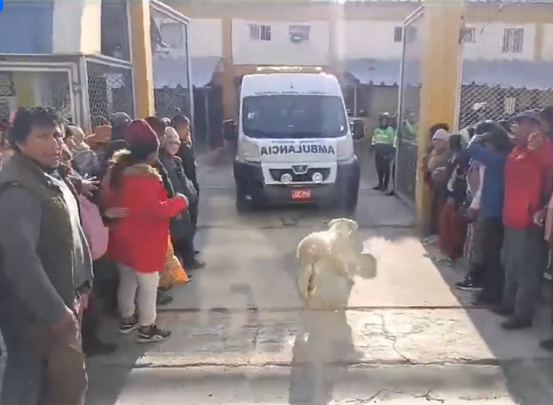 Cinco internos fallecidos por asfixia deja el incendio ocurrido en el taller de zapatería ubicado en el pabellón 2 del penal de Huamancaca, ubicado en Huancayo, región Junín.