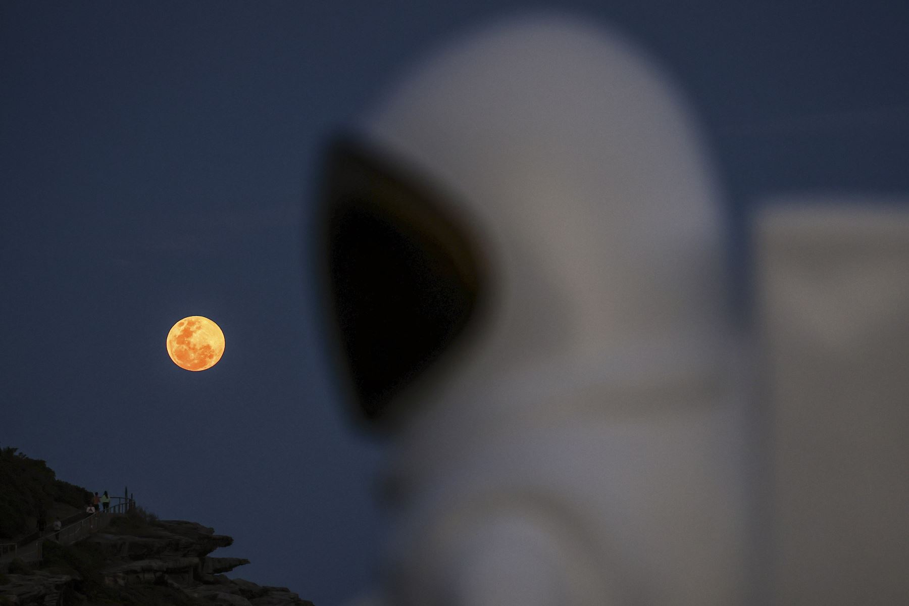 Una súper luna se eleva detrás de una escultura con forma de astronauta y parte de la exposición Escultura junto al mar, en un promontorio cerca de la playa Bondi de Sydney, Australia.

Foto:AFP