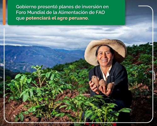 El Midagri destacó en el Foro Mundial de la Alimentación de la FAO el desarrollo de las cadenas productivas de la palta orgánica, papa nativa, quinua y camélidos sudamericanos. ANDINA/Difusión