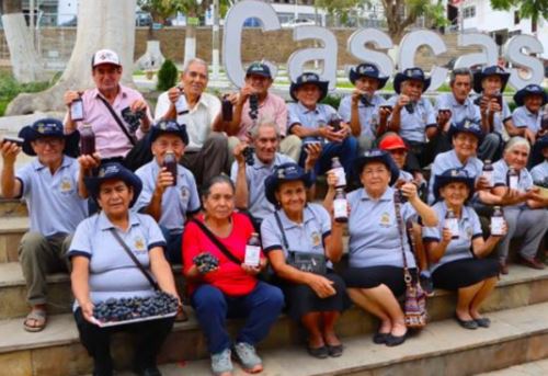 En el distrito de Cascas, provincia de Gran Chimú, departamento de La Libertad, un grupo de 24 adultos mayores, usuarios del programa social Pensión 65, se ha trazado como objetivo revalorar y posicionar su producto bandera: la uva.