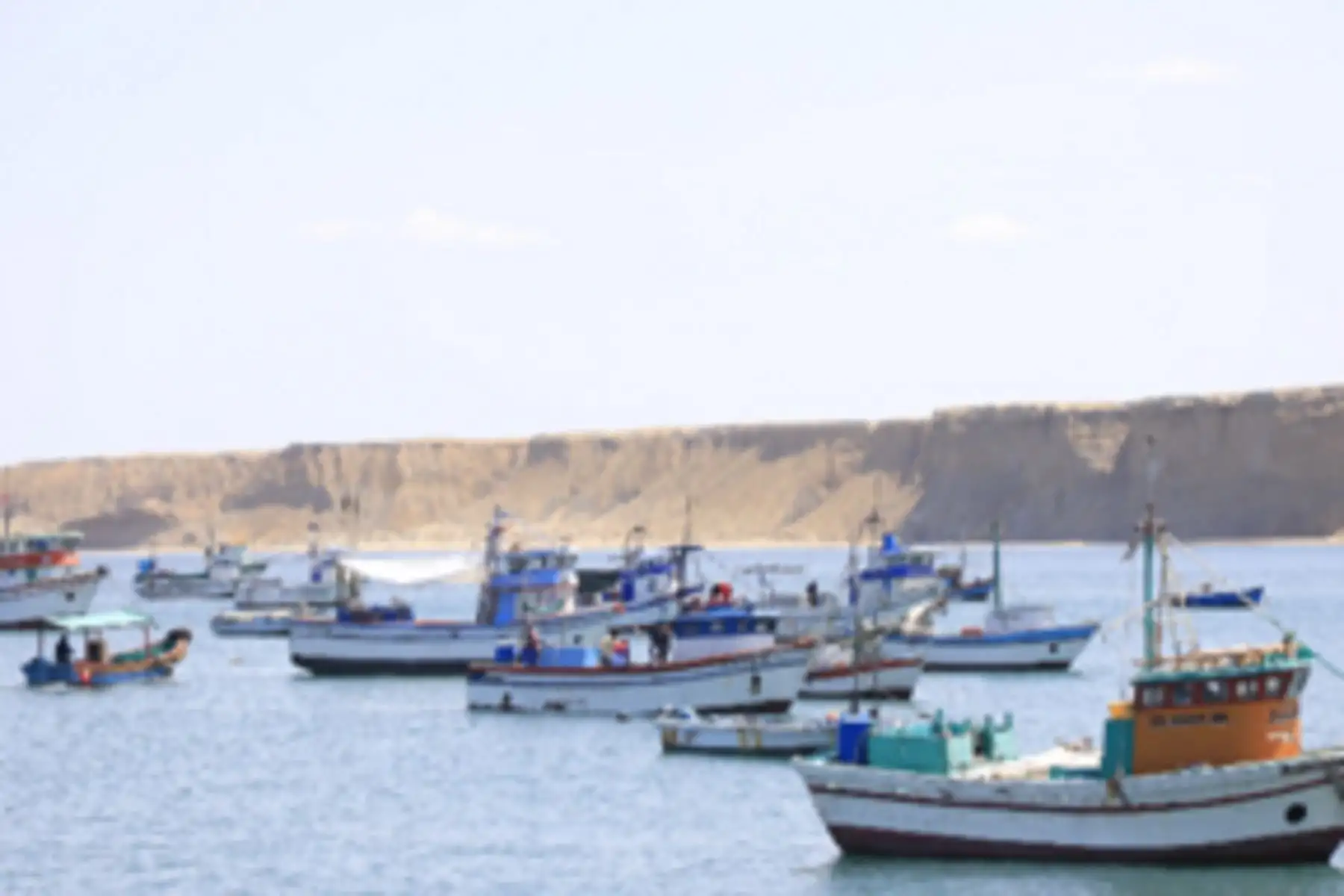 ANDINA/Difusión