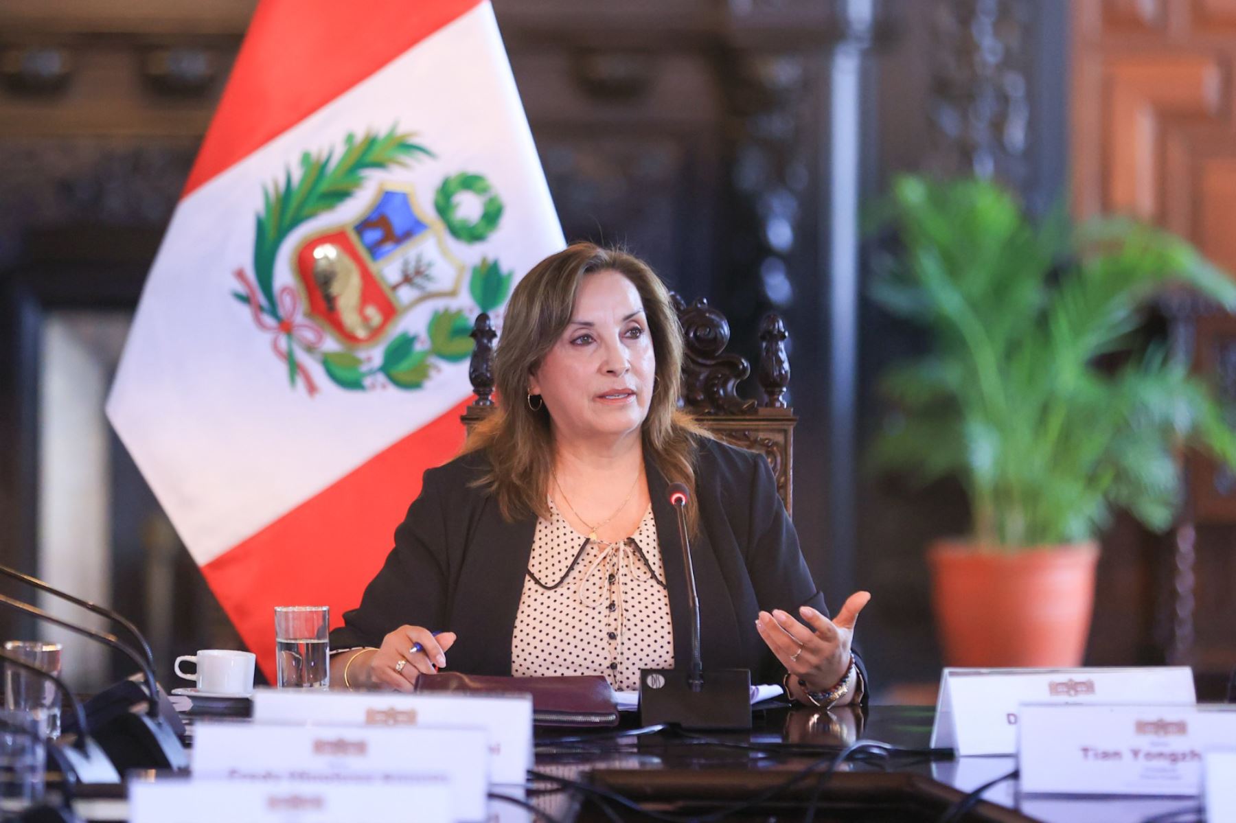 Photo: ANDINA/Presidency of the Republic of Peru