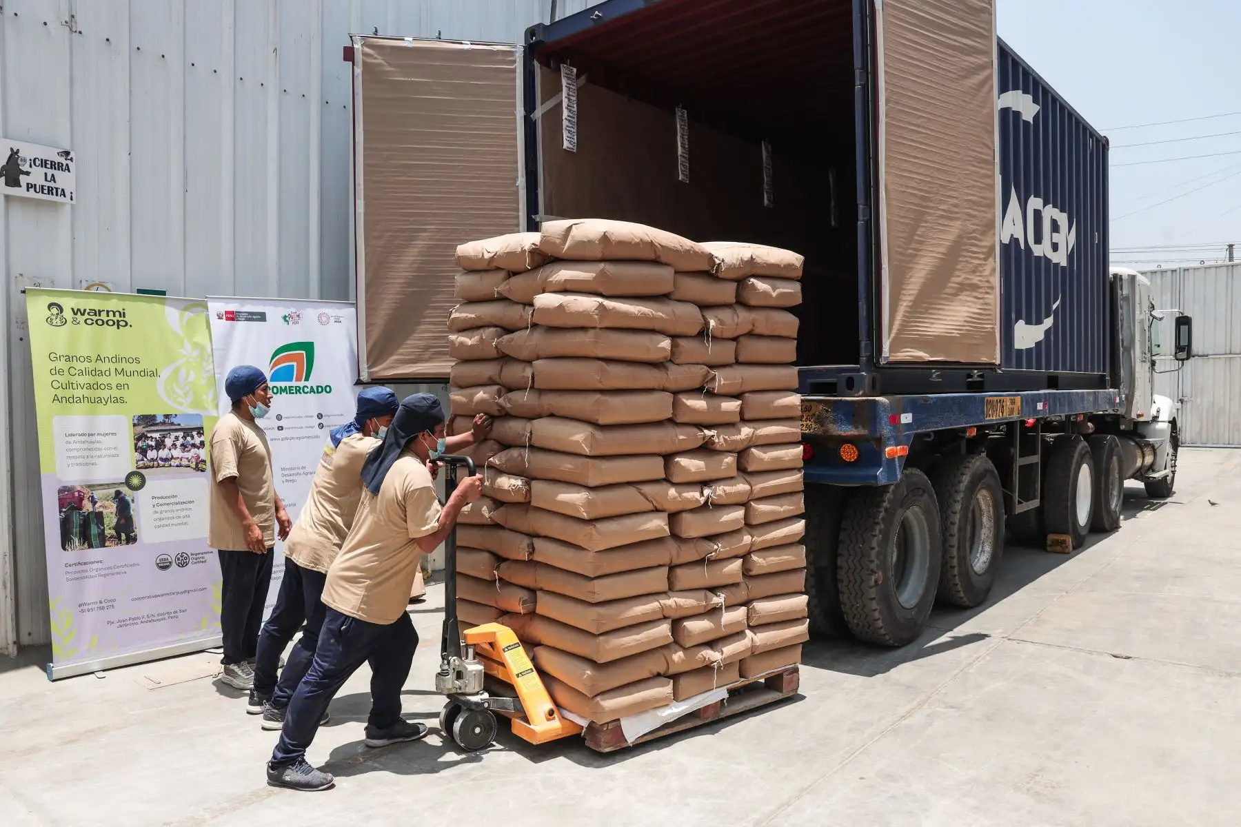 Se trata del primer envío de granos andinos al mercado europeo por parte de dicha cooperativa, donde la empresa Inca Mystic Grain fue la encargada de brindar el servicio de maquila del producto. Foto: ANDINA/ Connie Calderon