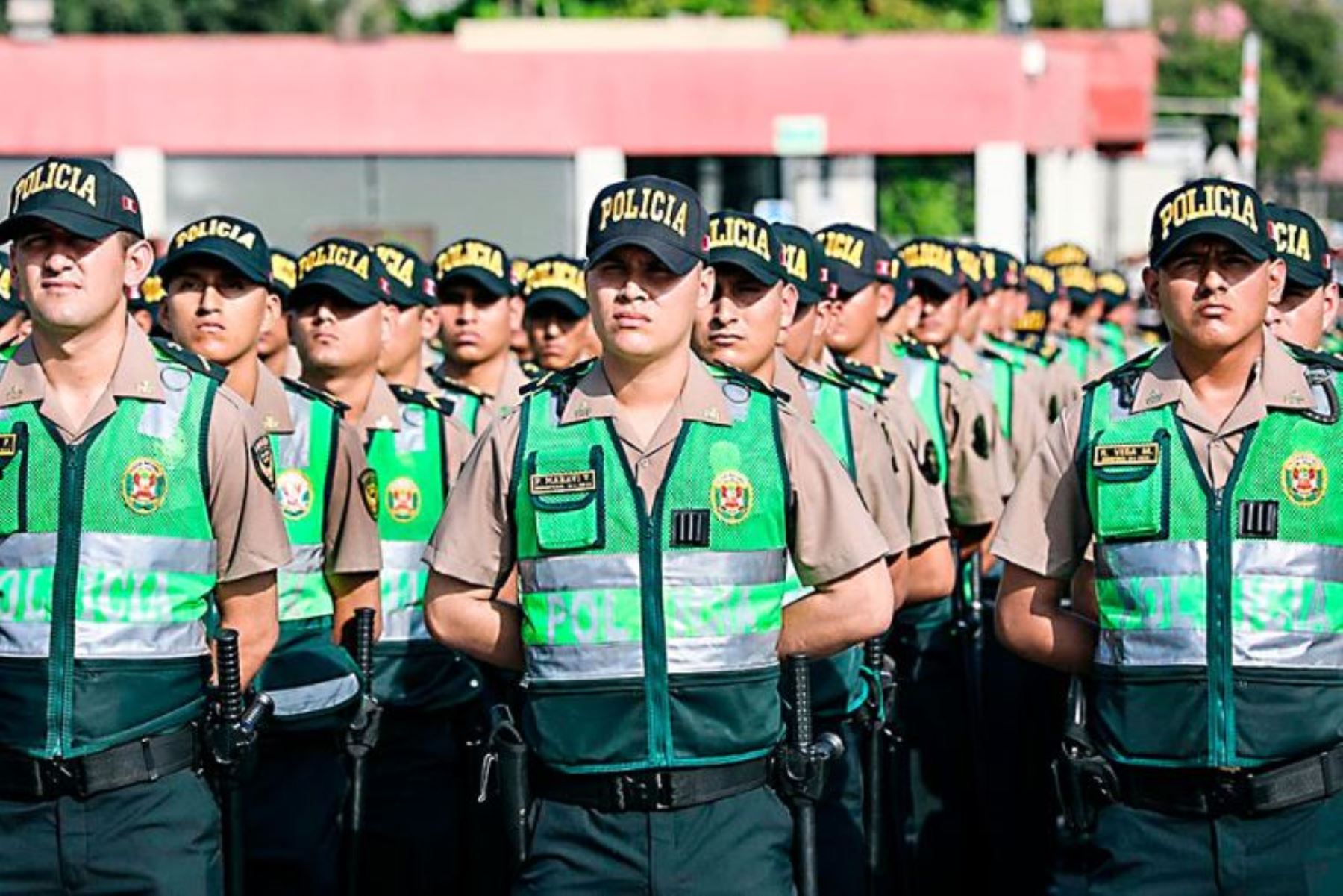 ¡Urgente! Autorizan graduación anticipada de 735 cadetes de la PNP para combatir el crimen. Foto: ANDINA/archivo.