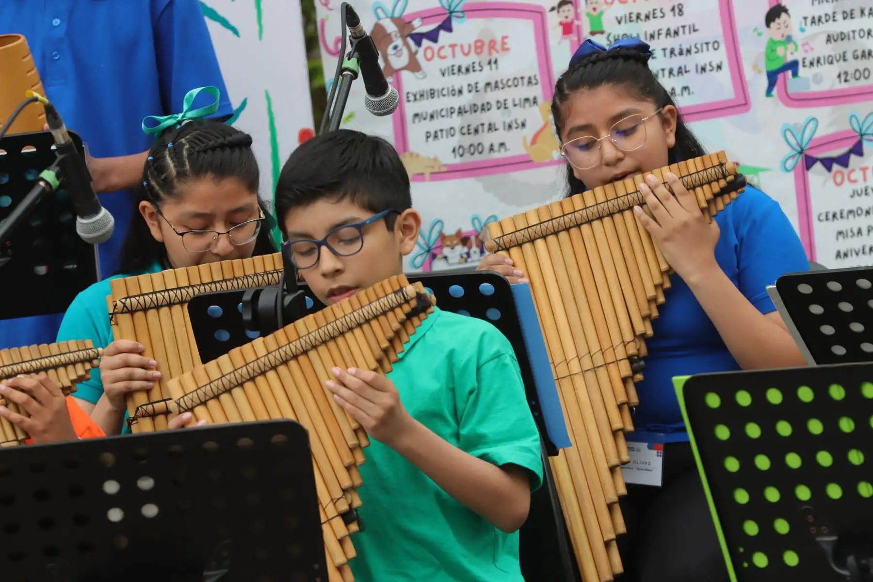 Durante el repertorio, los músicos usaron charango, guitarra, mandolina, violín, quena, zampoña, arpa .
Foto: ANDINA / Lino Chipana.