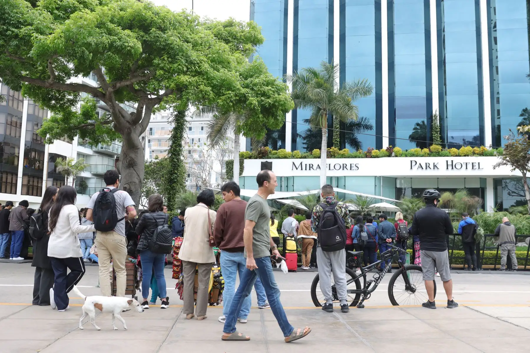 Fans de Paul McCartney en los exteriores del hotel Miraflores Park Hotel.
Foto: ANDINA / Lino Chipana