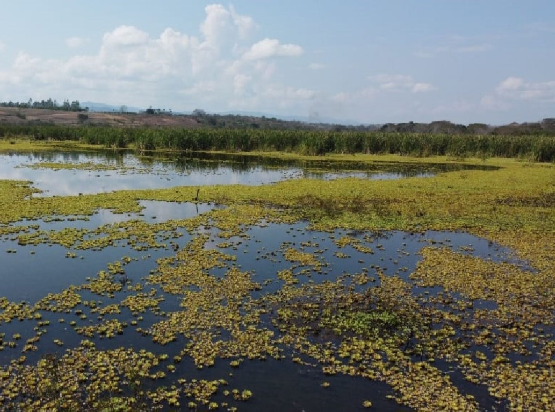 Diferentes entidades de gobierno de la región San Martín unen esfuerzos para la conservación de las lagunas Andiviela y Totorillayco. ANDINA/Difusión