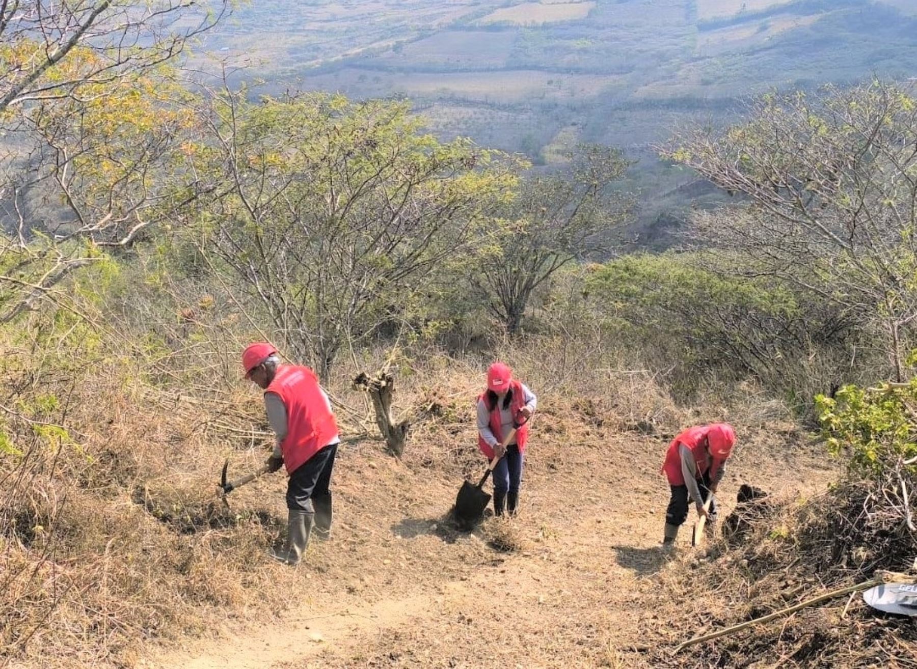 Foncodes ejecuta trabajos de mantenimiento de trochas carrozables y caminos rurales en siete distritos de tres provincias de la región Amazonas.