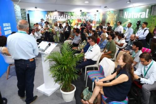 Expertos internacionales de Perú, Bolivia, Colombia y Estados Unidos expresaron durante la COP 16, que se realiza en Cali-Colombia, la urgente necesidad de proteger los ecosistemas amazónicos, vitales tanto para la biodiversidad como para las comunidades locales que dependen de estos hábitats.