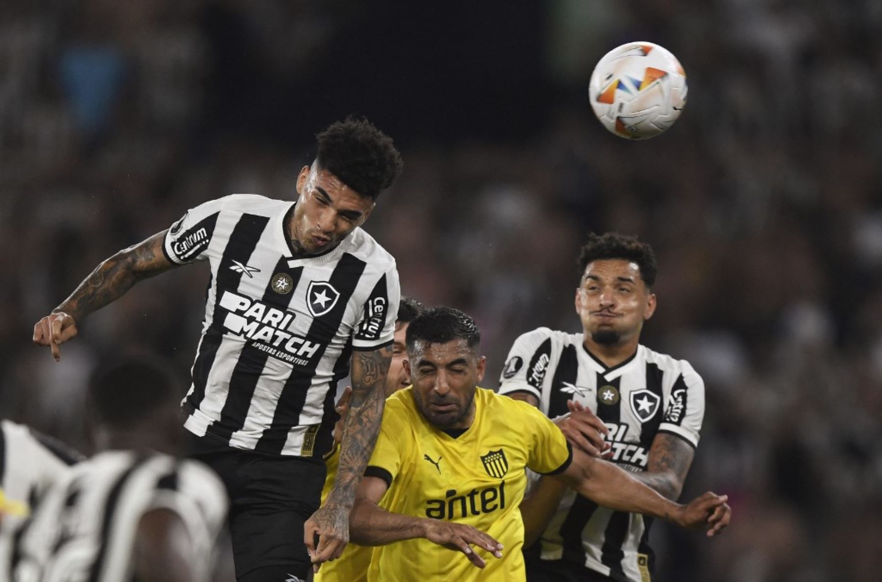 Botafogo está a un paso de su primera final de Copa Libertadores