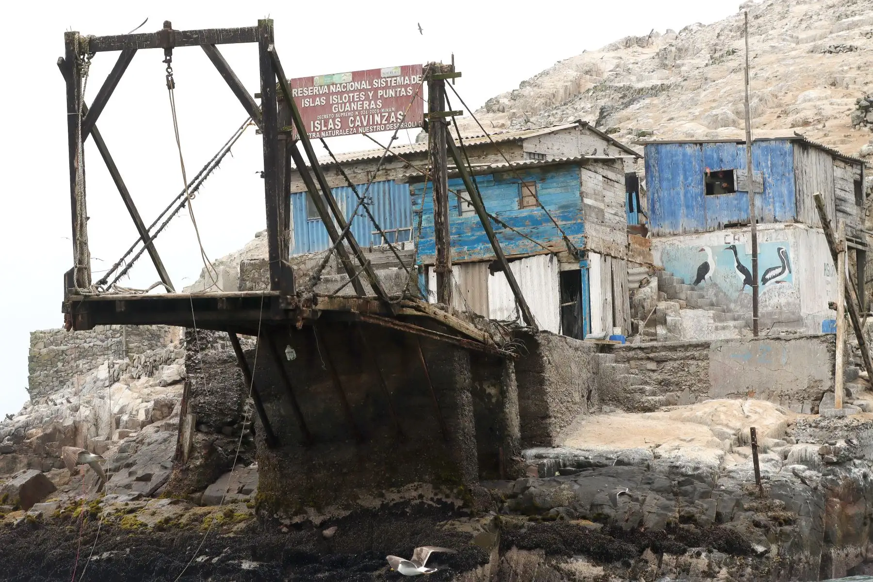 Las Islas Palomino, llamadas también Islotes Palominos, son un grupo de pequeñas islas que se encuentran frente al Callao. Albergan una numerosa población de lobos marinos y aves marinas, por lo cual se han convertido en zona turística. Foto : ANDINA / Lino Chipana.