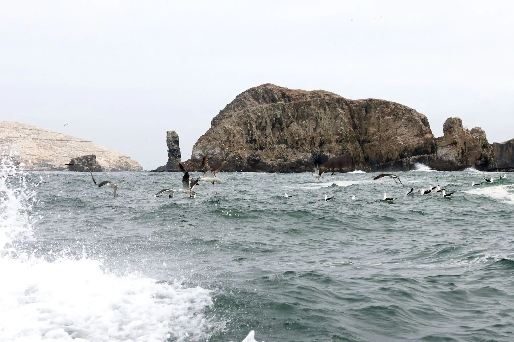 La Reserva Natural de Islas nos invita a una amplia oferta de viajes que van desde las dos hasta las cuatro horas de duración, con el respectivo chaleco salvavidas y todas las medidas de bioseguridad. Foto: ANDINA/ Lino Chipana
