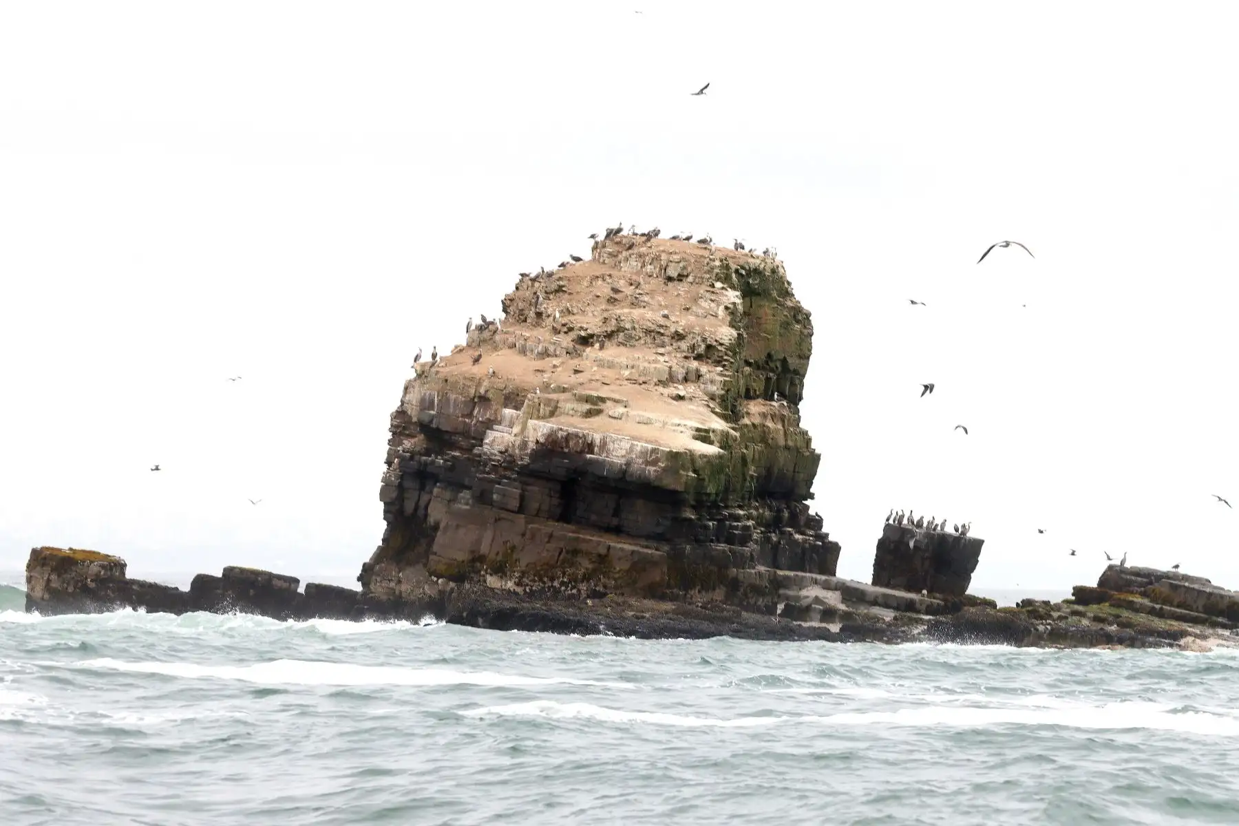 El visitante puede recorrer este conjunto de islotes conocidos también como Islas Cavinzas e Islotes Palomino en diversos servicios de yates que se encuentran ubicados en el emblemático muelle chalaco y que nos invita a conocer o nadar con los lobos marinos. Foto: ANDINA/ Lino Chipana