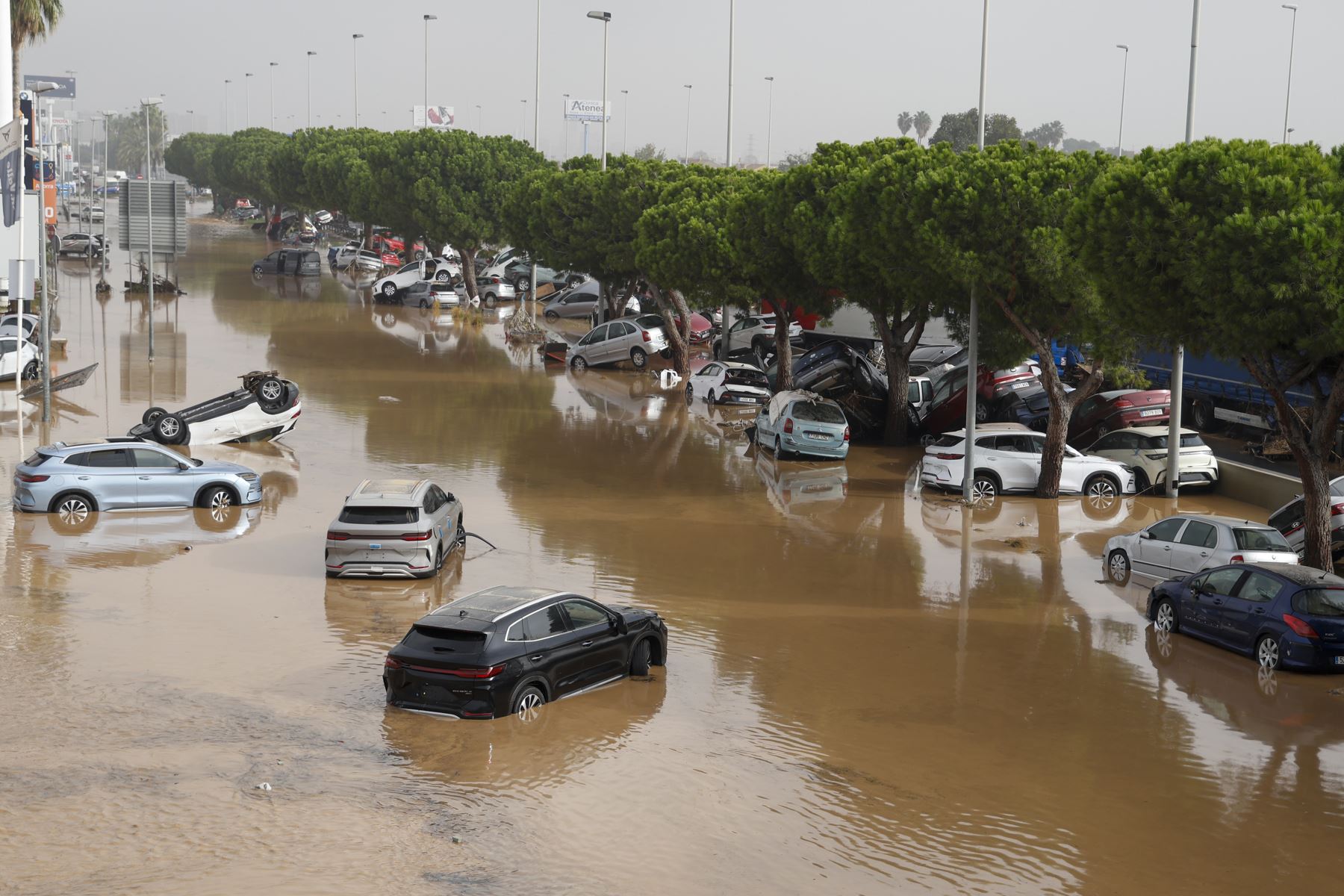 Al menos 60 personas murieron por las inundaciones provocadas por las lluvias torrenciales en la región de Valencia, en el sudeste de España, informaron este miércoles los servicios de rescate. Foto: AFP