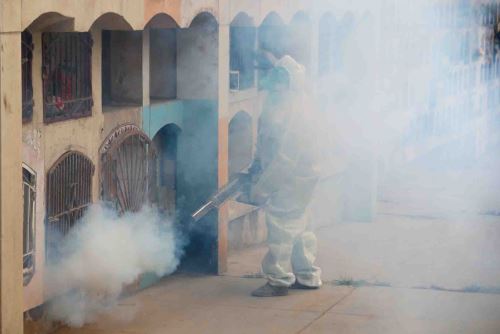 Campaña de fumigación en el cementerio Nueva Esperanza de Villa María del Triunfo