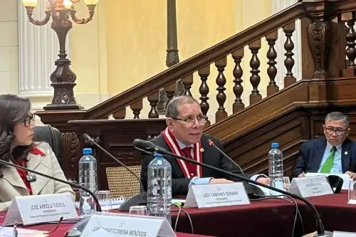 Presentación del presidente del PJ, Javier Arévalo, en el Congreso. ANDINA/Difusión