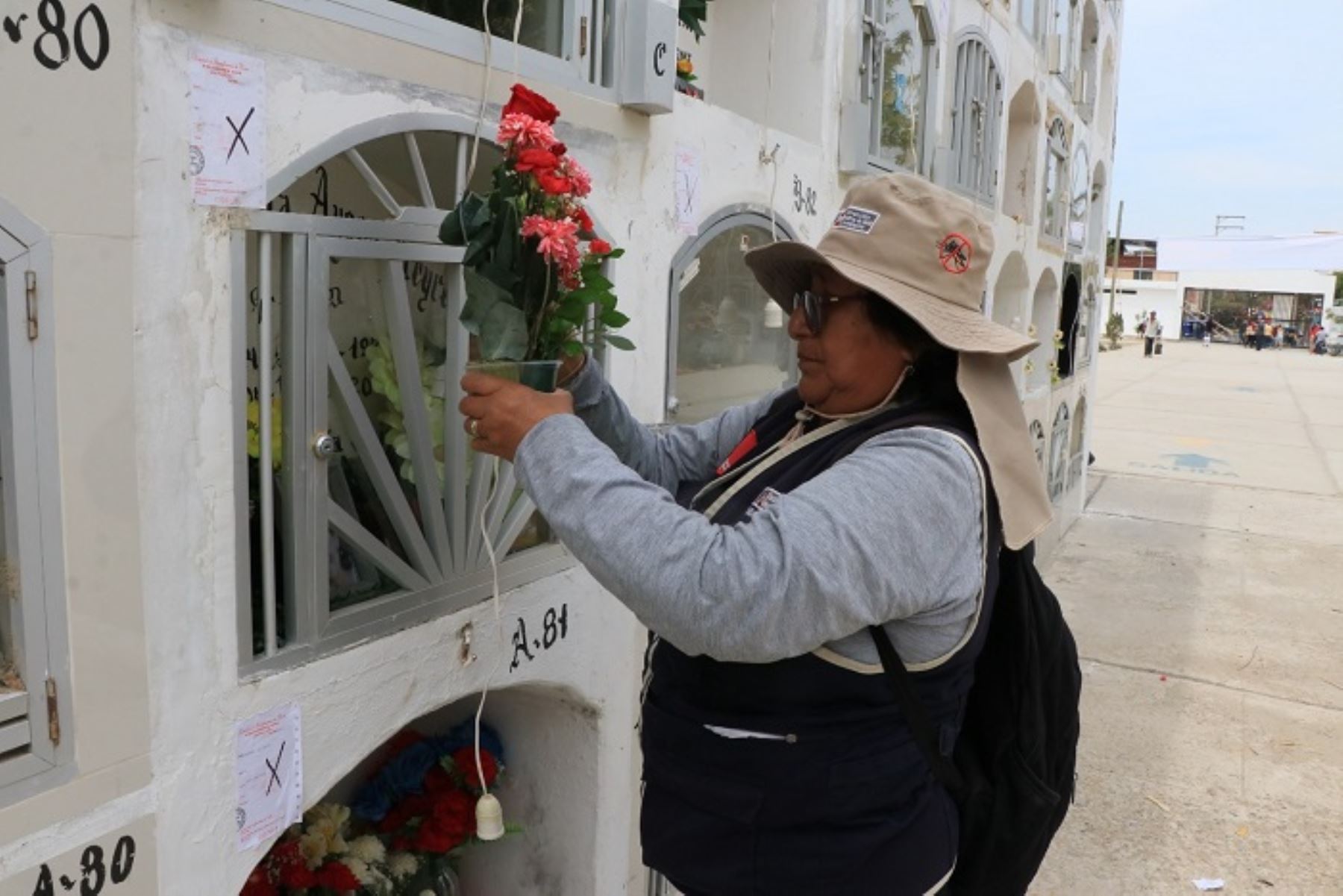 Ante la celebración del Día de los Muertos en Piura, el próximo 1 de noviembre, brigadas de inspectores de la iresairección Ejecutiva de Intervención Sanitaria Integral  de la Dirección Regional de Salud (Diresa) de Piura iniciaron la última semana de octubre el control larvario en diversos cementerios para evitar la presencia del vector que contagia el dengue.