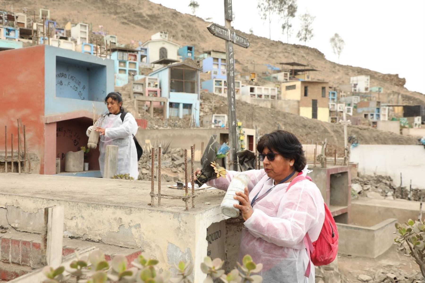 Día de Todos los Santos: Minsa recomienda reemplazar el agua de floreros por arena húmeda. Foto: ANDINA/difusión.