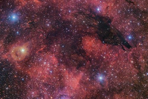 La "Nebulosa del Lobo Oscuro", como ha sido denominada por Halloween, fue capturada en una imagen de 283 millones de píxeles por el VLT Survey Telescope (VST) en el Observatorio Paranal de ESO, en Chile.