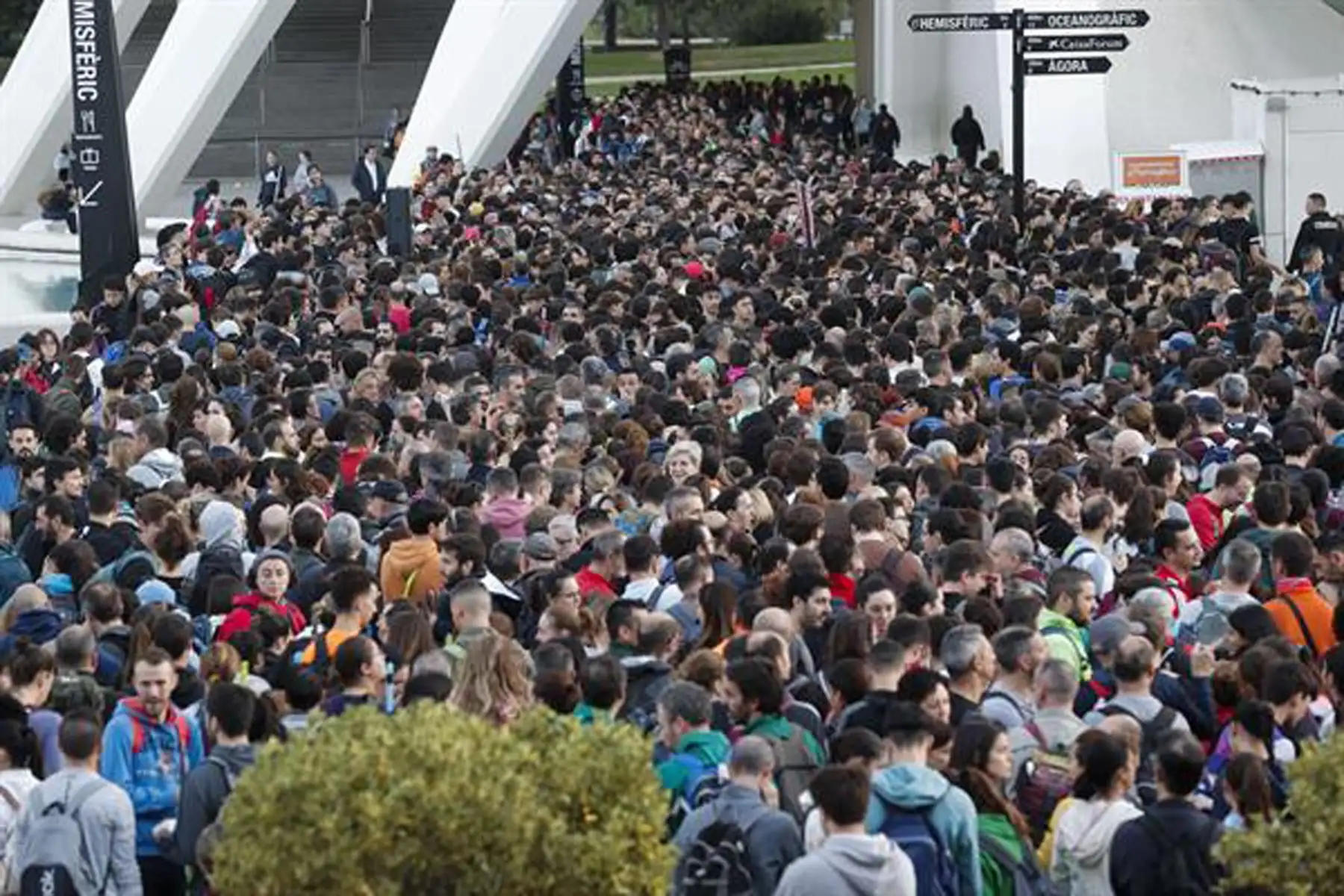 Miles de personas se han acercado este sábado hasta la Ciudad de las Artes y las Ciencias para presentarse como voluntarios para ayudar en las labores de reconstrucción de las localidades afectadas por la dana. Con más de 200 muertos a causa de la dana.
Foto: EFE