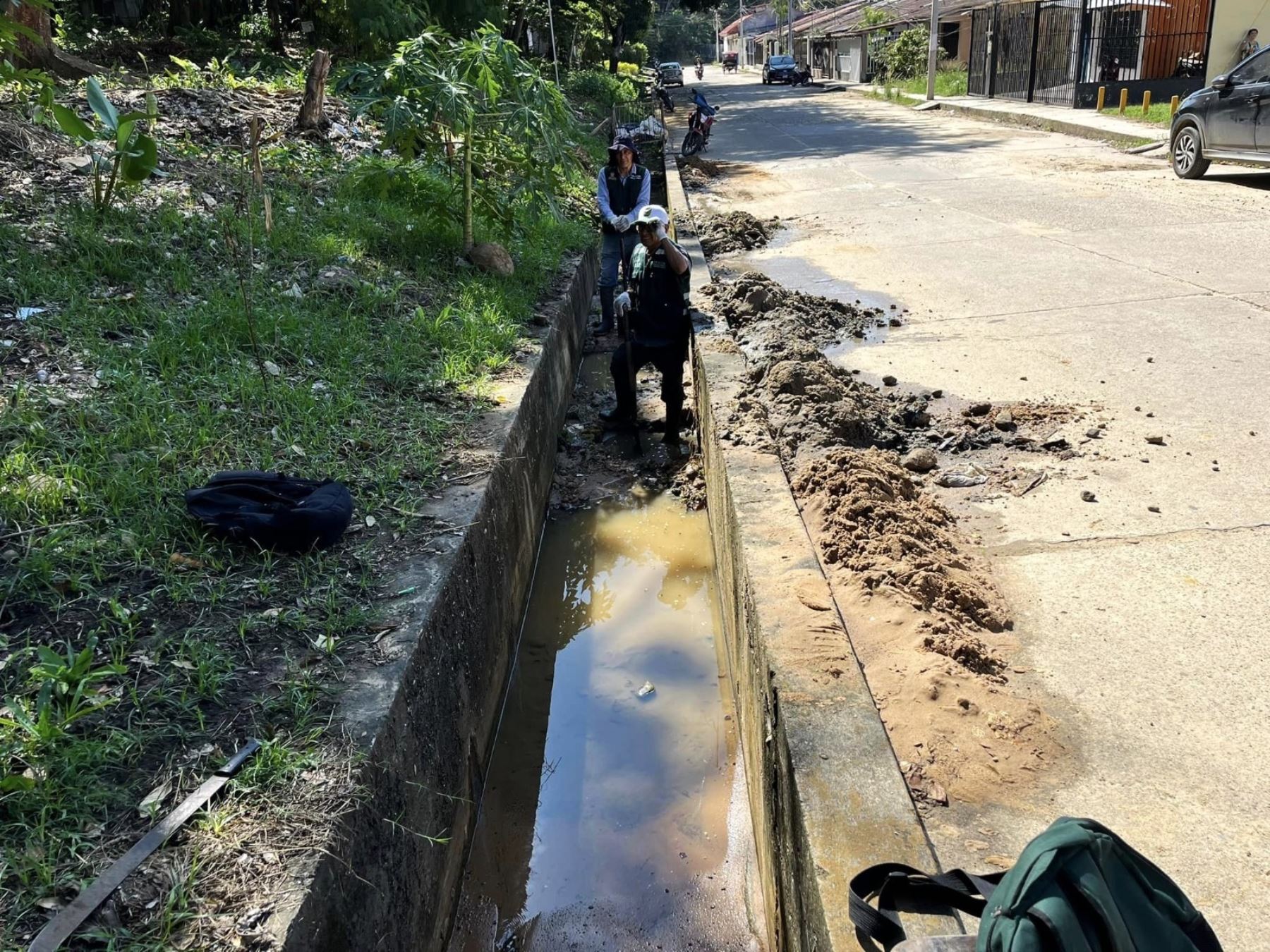 Tarapoto inicia actividades oficiales por la Semana Nacional Forestal con jornada de limpieza de humedal y ojo de agua. ANDINA/Difusión