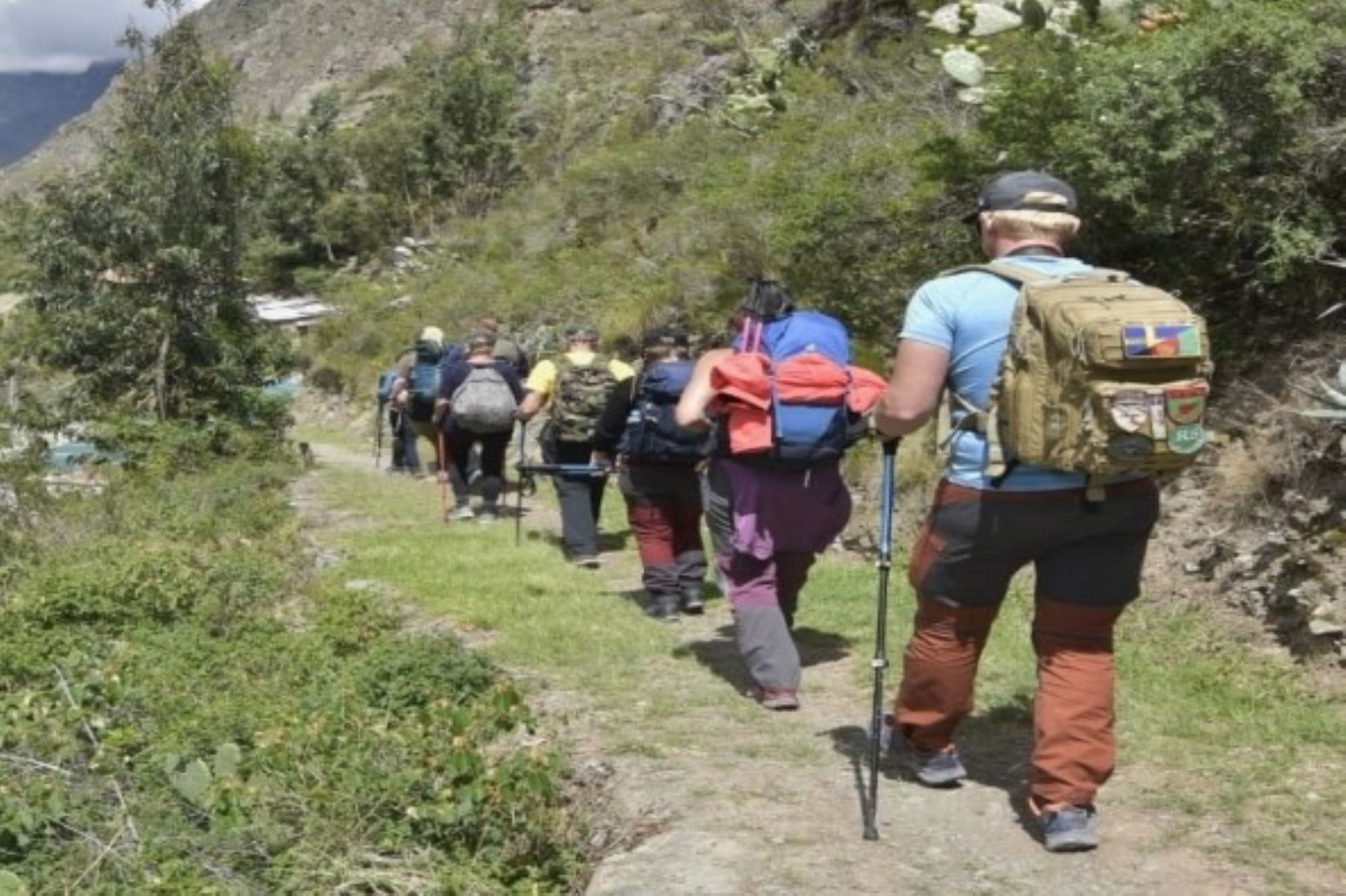 Red de Caminos Inca a Machu Picchu, región Cusco Foto: Mincul