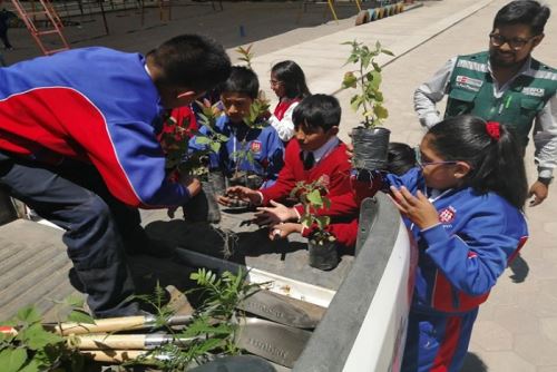 La Semana Forestal Nacional se celebra en el Perú la primera semana de noviembre, según lo establecido en el Decreto Supremo 210-74-AG.