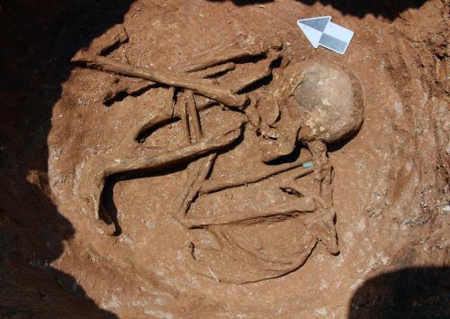 Uno de los hallazgos realizados este año en el sitio arqueológico Pacopampa, ubicado en Cajamarca, es de un personaje que llevaba un dije de piedra semipreciosa de color verde aguamarina. Foto cortesía: Proyecto de Investigación Arqueológica (PIA) Pacopampa