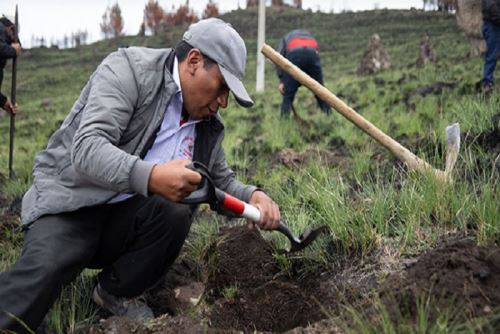 Plantaciones se realizaron como parte de las actividades programadas con motivo de la Semana Forestal Nacional.