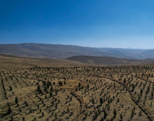 Amsac presenta documental sobre trabajos de recuperación ambiental en Calioc y Chacrapuquio, ubicados en Junín. ANDINA/Difusión