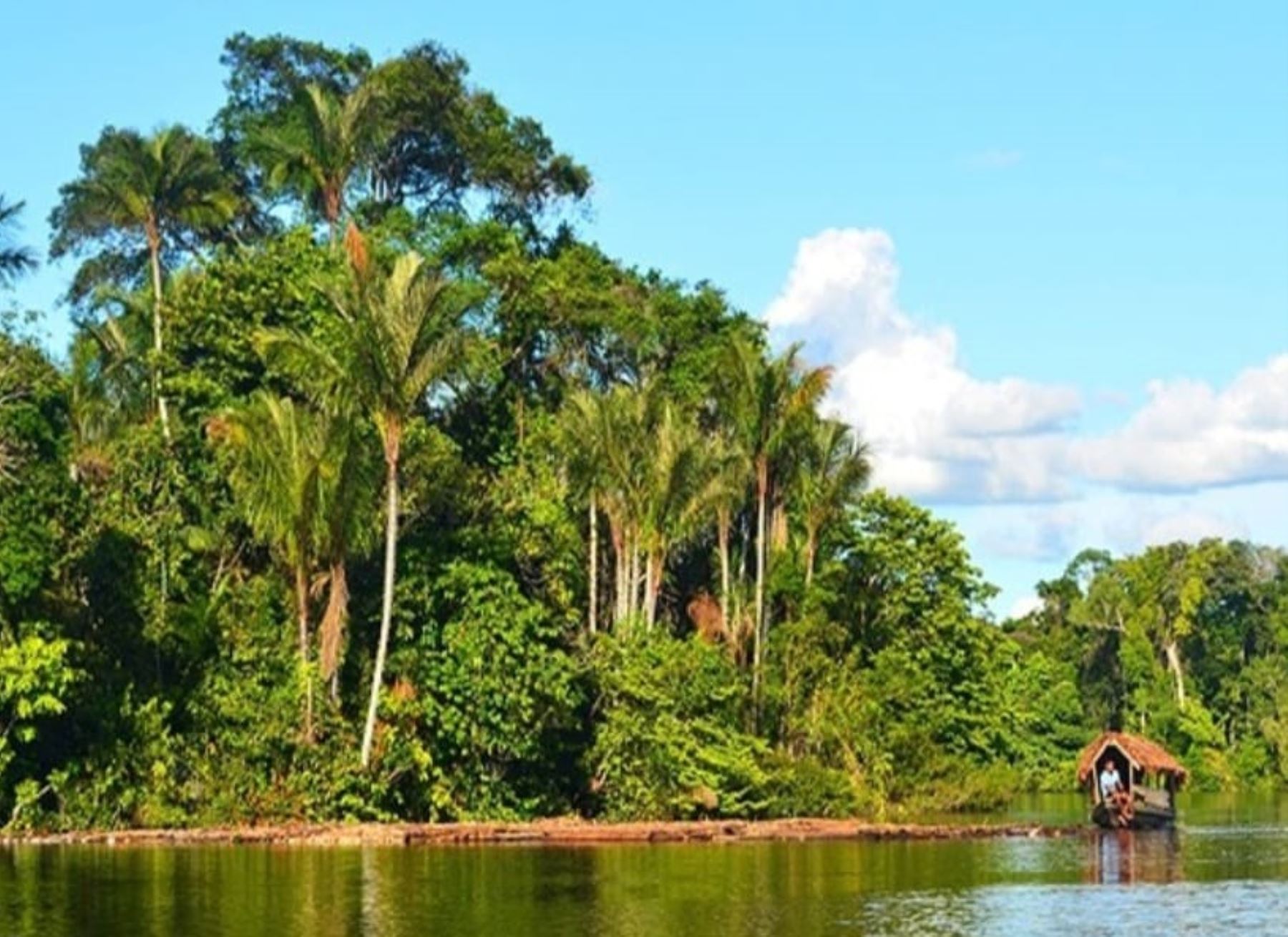 El Gobierno Regional de San Martín afirma que la norma que modifica la Ley Forestal es una amenaza a la biodiversidad y a las comunidades nativas amazónicas.