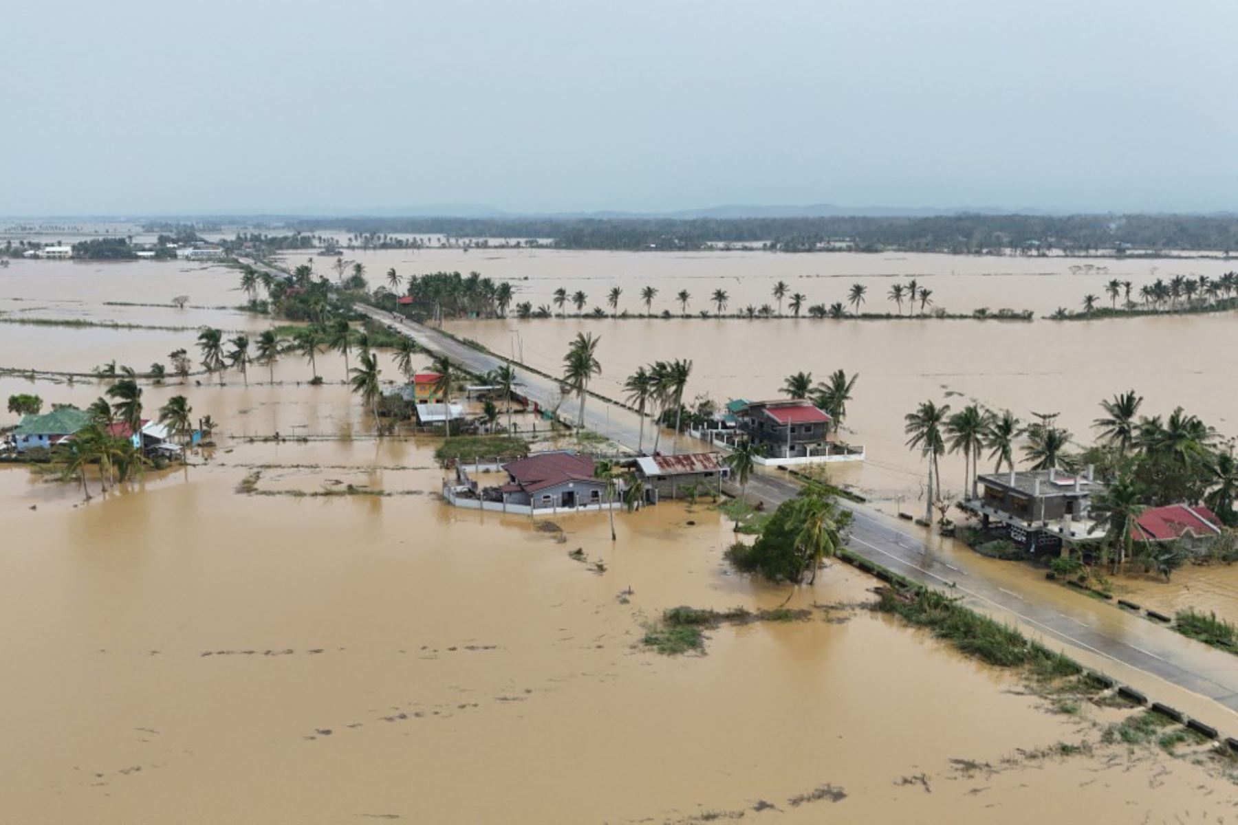 Con vientos máximos sostenidos de 175 kilómetros por hora y ráfagas de hasta 240 km/h, el tifón embistió en Santa Ana y localidades vecinas, donde arrancó techos y descargó fuertes aguaceros. Foto: AFP