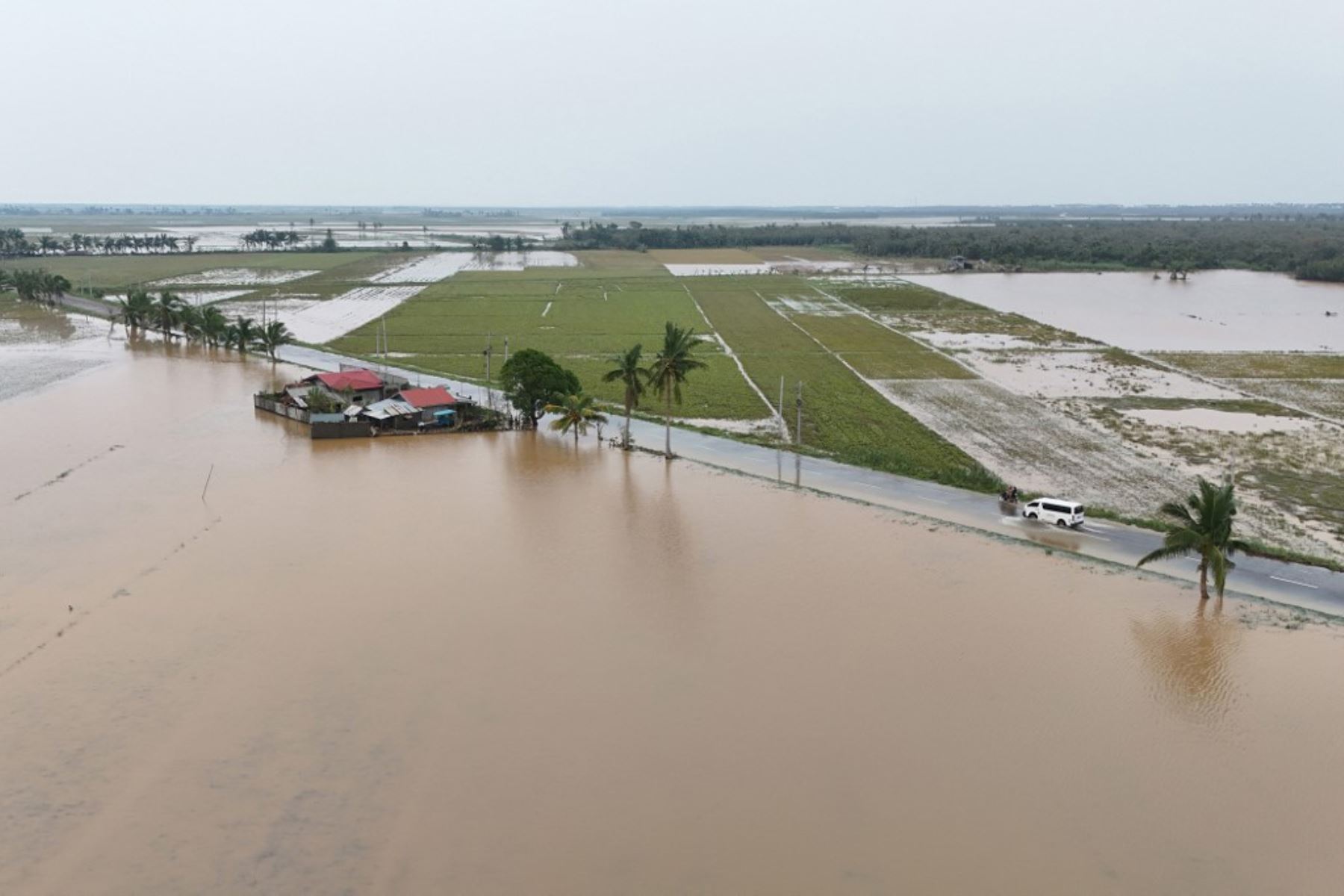 El tifón Yinxing arremetió contra el noreste de Filipinas, donde arrancó árboles y obligó a evacuar a miles de residentes de zonas costeras, apenas semanas después de que una tormenta tropical matara al menos a 150 personas. Foto: AFP