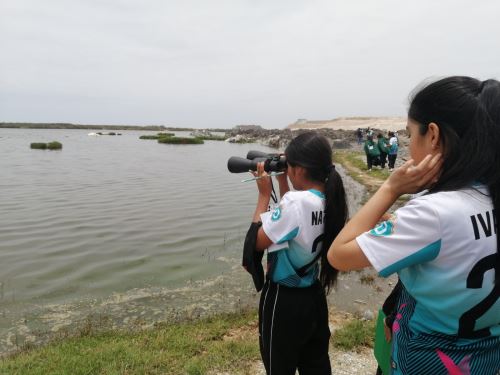 Estudiantes de Tacna conocieron sobre la importancia de los ecosistemas frágiles que existen en dicha región, como los humedales de Ite, destacó el Serfor. ANDINA/Difusión