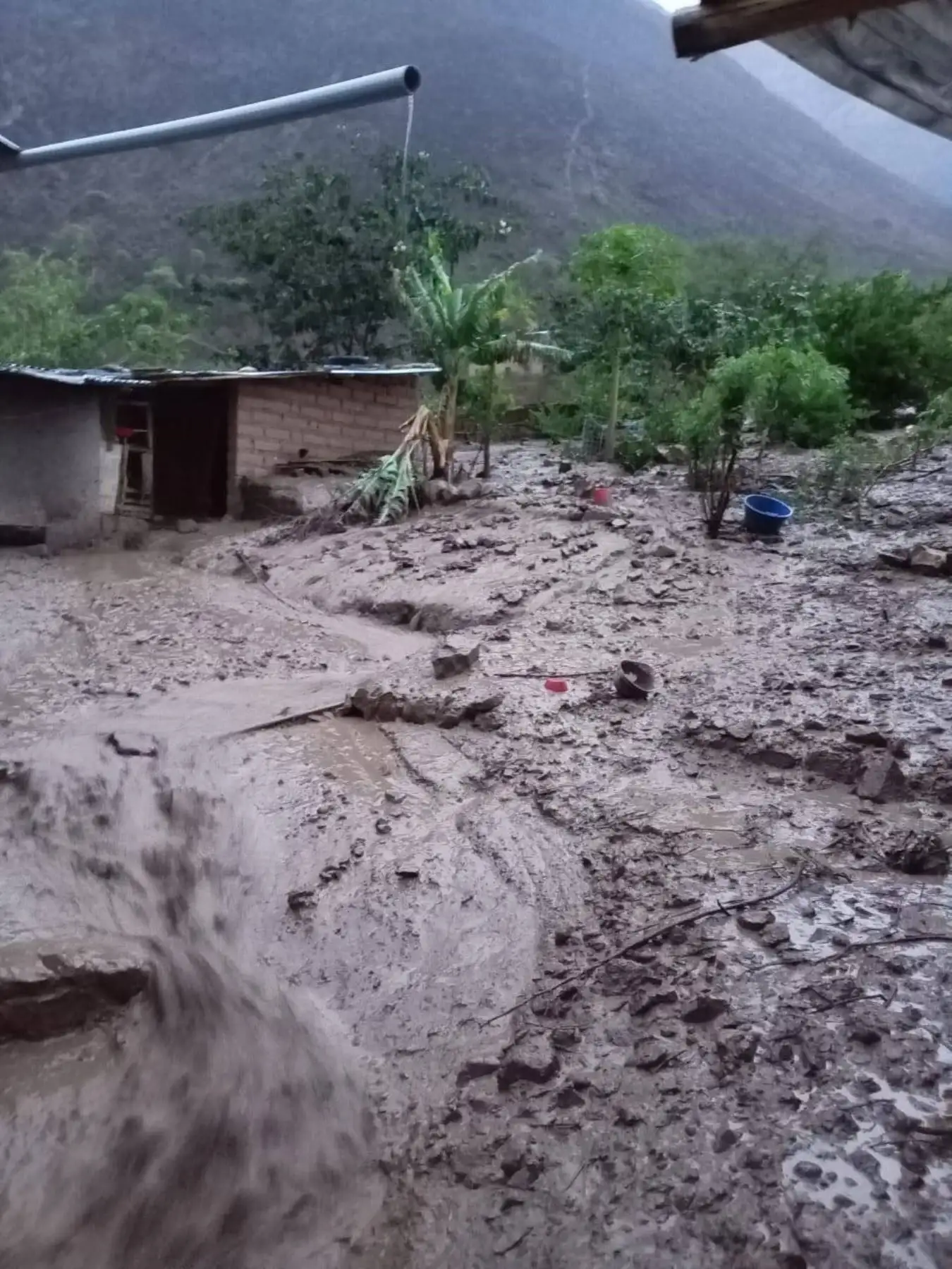 Indeci recomienda establecer un sistema de alerta temprana usando silbatos, campanas, alarmas, sirenas o altoparlantes, en coordinación con las autoridades locales.ANDINA/Difusión