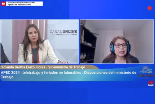 Viceministra de Trabajo, Yolanda Erazo declara para la Agencia Andina, sobre la modalidad laboral en los días de reuniones del APEC en Lima. Foto: Captura TV.