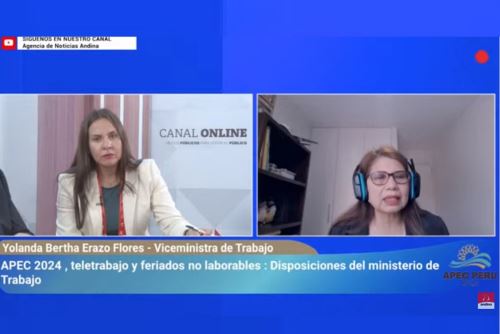 Viceministra de Trabajo, Yolanda Erazo declara para la Agencia Andina, sobre la modalidad laboral en los días de reuniones del APEC en Lima. Foto: Captura TV.