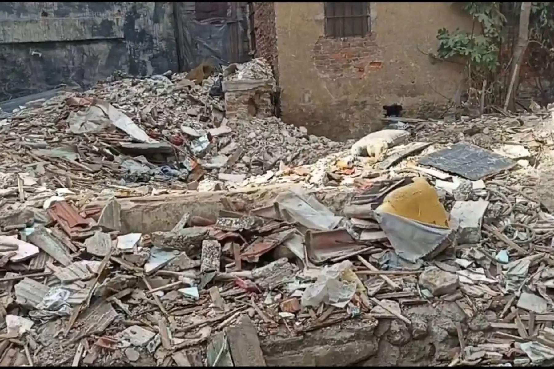 Esta fotografía publicada por el Instituto Meteorológico de Cuba muestra a personas fuera de sus hogares después de los terremotos en Santiago de Cuba.
Foto: AFP