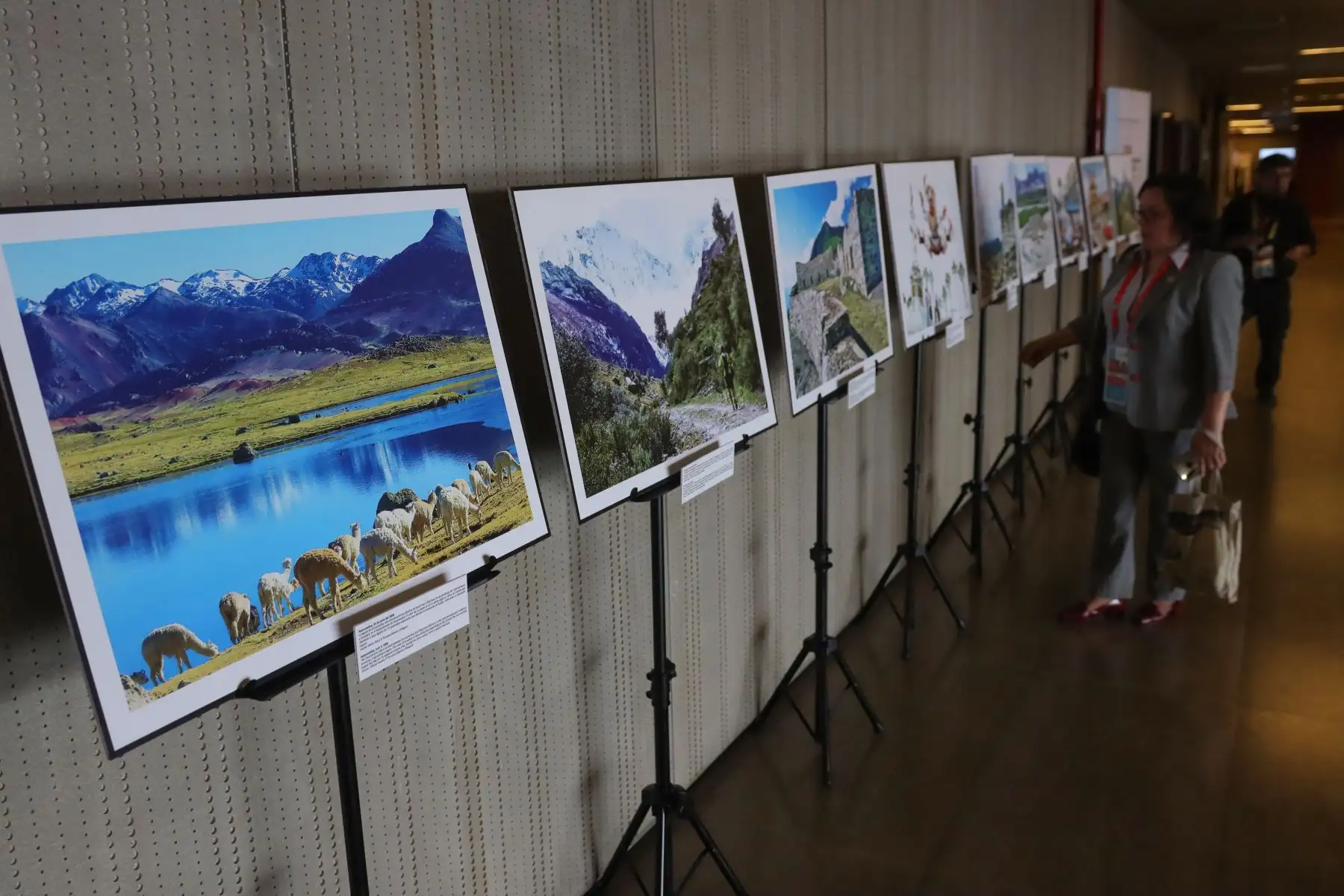 Esta muestra destaca la rica historia del Perú y su diversidad cultural que la han consolidado como una potencia turística internacional.
Foto : ANDINA / Lino Chipana.
