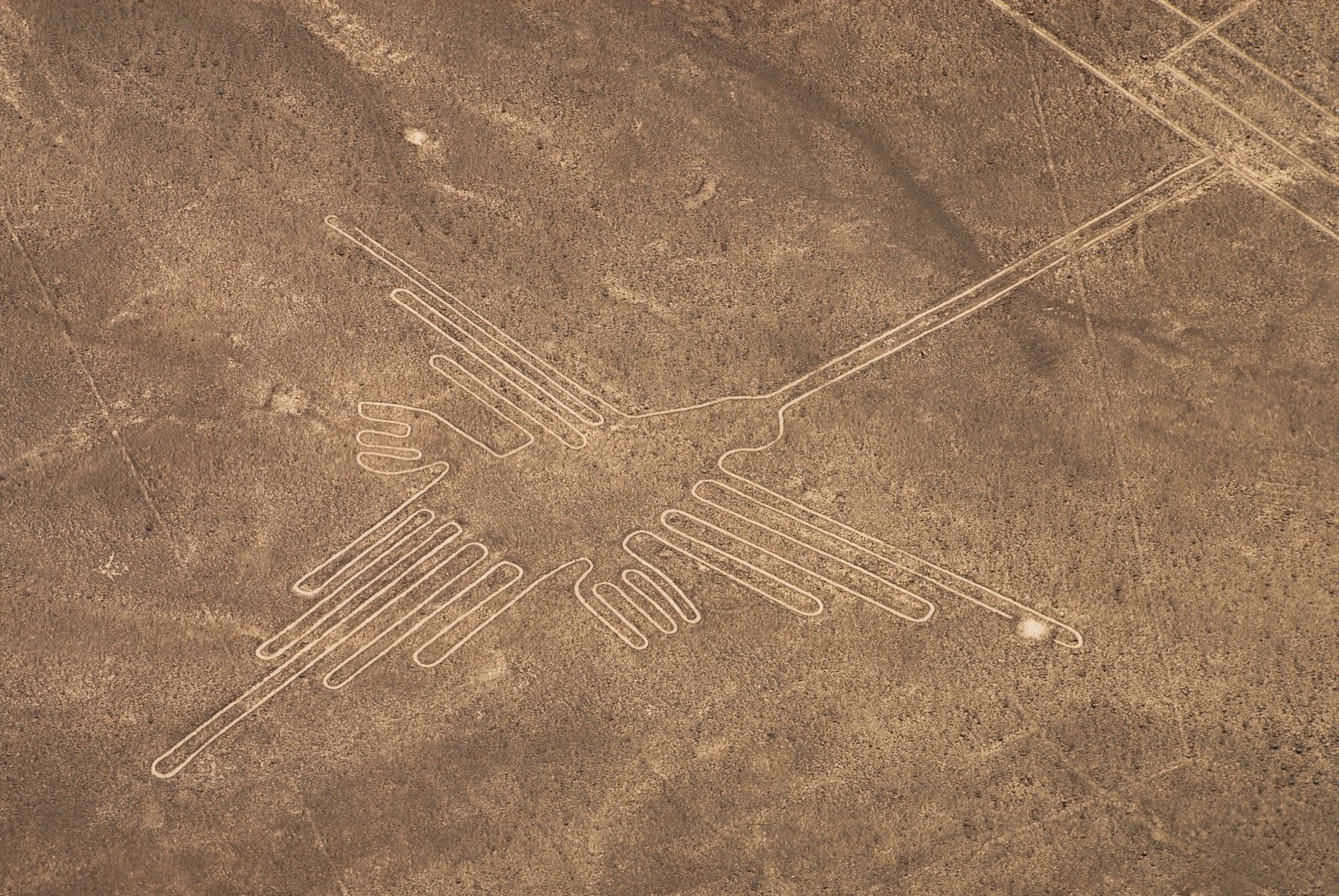 Las impresionantes Líneas y Geoglifos de Nasca, declaradas Patrimonio de la Humanidad por la Unesco en 1994, es uno de los mayores atractivos que posee el Perú y que puede ser apreciado por los participantes del foro APEC 2024.