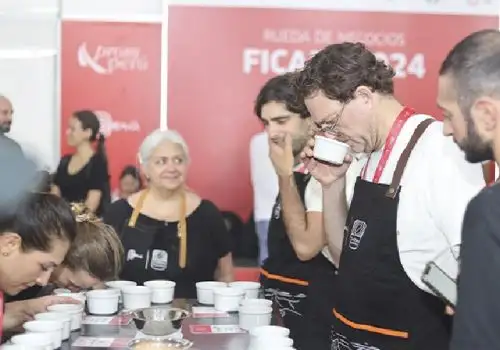 La cata de cafés especiales fue una de las actividades centrales de la Feria Internacional de Cafés Especiales (Ficafé) 2024 que se desarrolló en Tingo María (Huánuco) y que generó el interés de compradores internacionales que participaron del festival.  ANDINA/Difusión