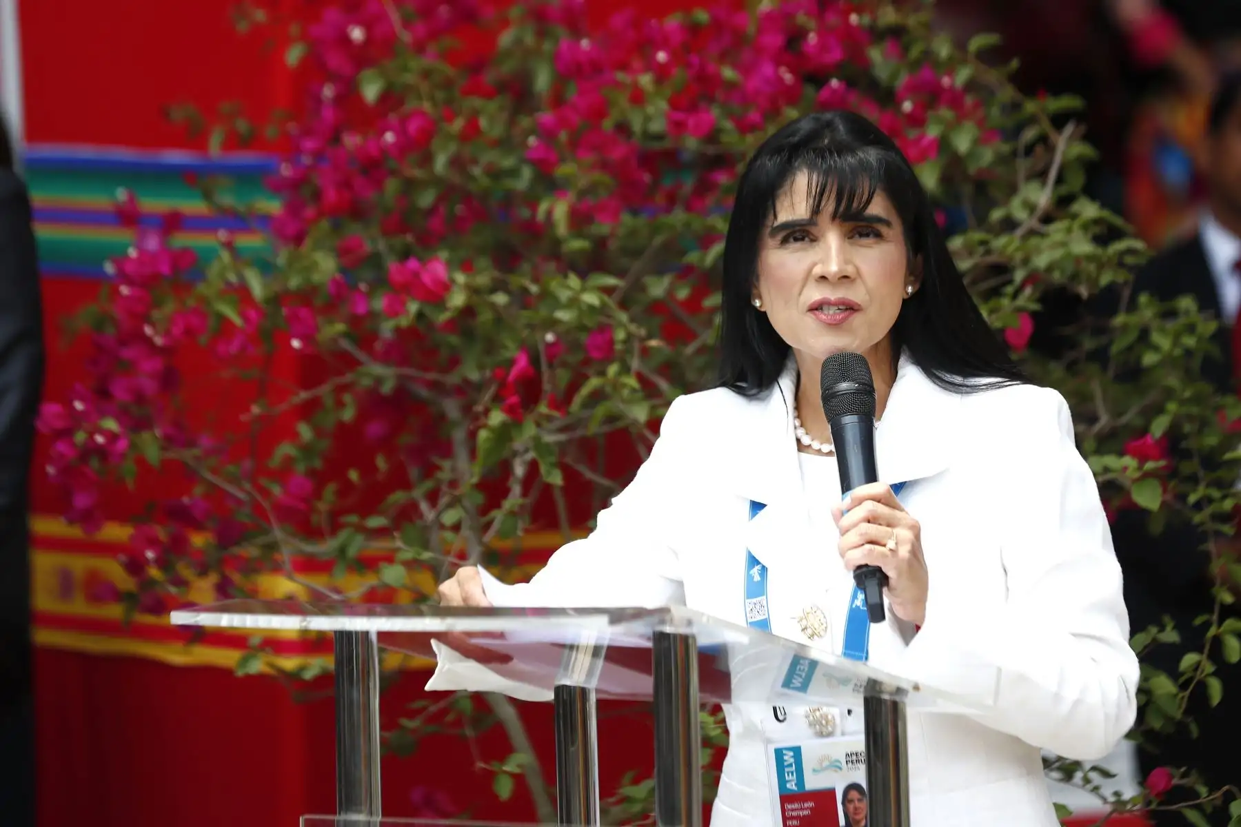 En el marco del Foro de Cooperación Económica Asia-Pacífico APEC Perú 2024, se inauguró la zona de Promperú en el Centro Internacional de Prensa del Ministerio de Cultura, en donde los visitantes podrán conocer importantes rasgos de la cultura peruana como la gastronomía y la música y danzas folclóricas. En la imagen, la ministra de Comercio Exterior y Turismo, Úrsula Desilú León Chempén.
Foto: ANDINA/Daniel Bracamonte