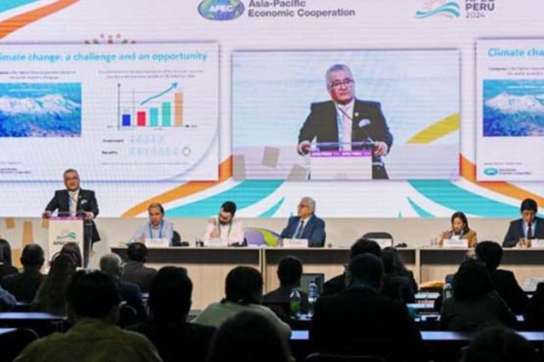 El Perú es el centro de atención mundial por ser país anfitrión de la Semana de Líderes del Foro de Cooperación Económica Asia-Pacífico (APEC) 2024. Foto: ANDINA/Minam
