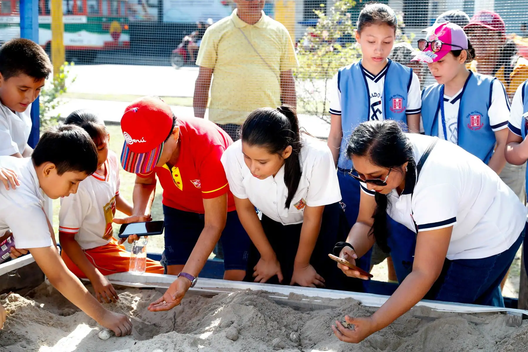 Durante la liberación de tortugas taricayas en su edición de noviembre de 2024, a orillas del río Nanay en la playa Tipishca, ubicada en la comunidad de San José de Lupuna, en la región Loreto, participaron escolares, universitarios y vecinos de la misma localidad. Foto: ANDINA/Daniel Bracamonte