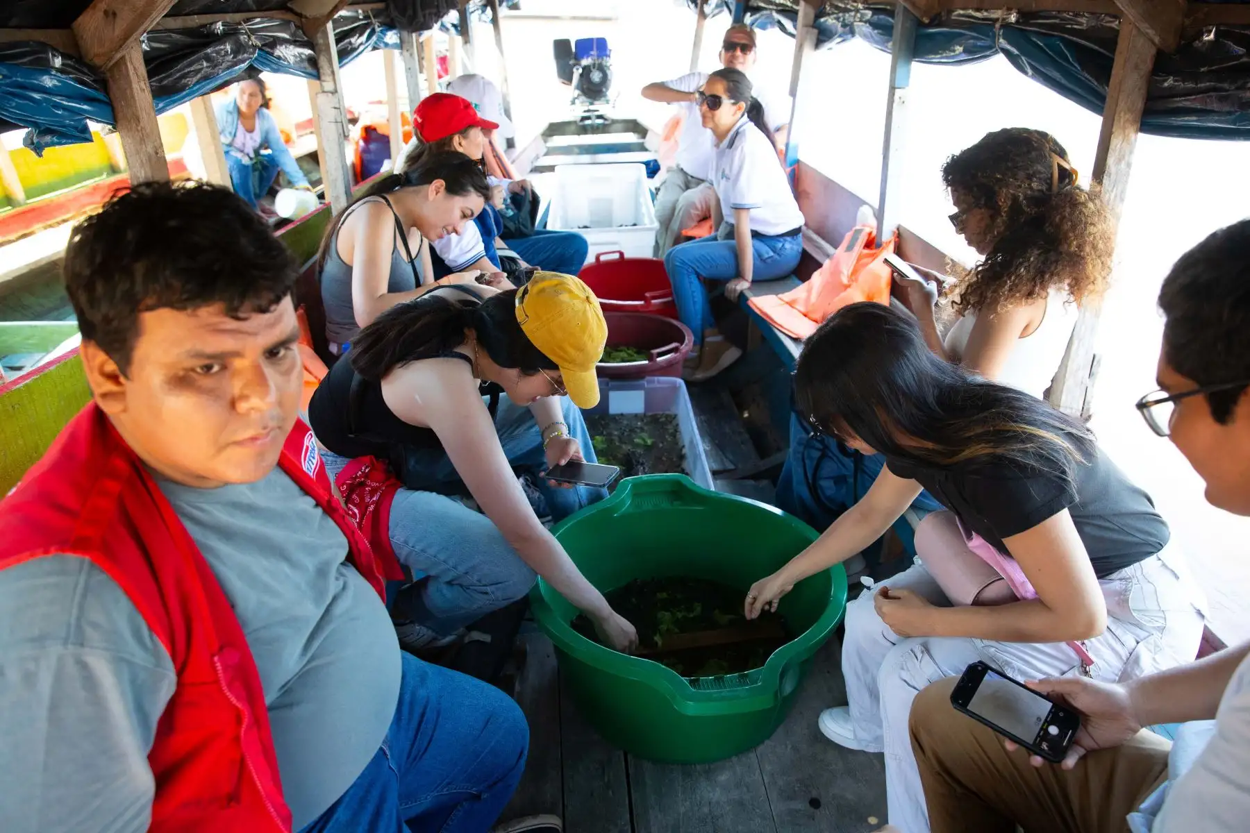 Durante la liberación de tortugas taricayas en su edición de noviembre de 2024, a orillas del río Nanay en la playa Tipishca, ubicada en la comunidad de San José de Lupuna, en la región Loreto, participaron escolares, universitarios y vecinos de la misma localidad. Foto: ANDINA/Daniel Bracamonte
