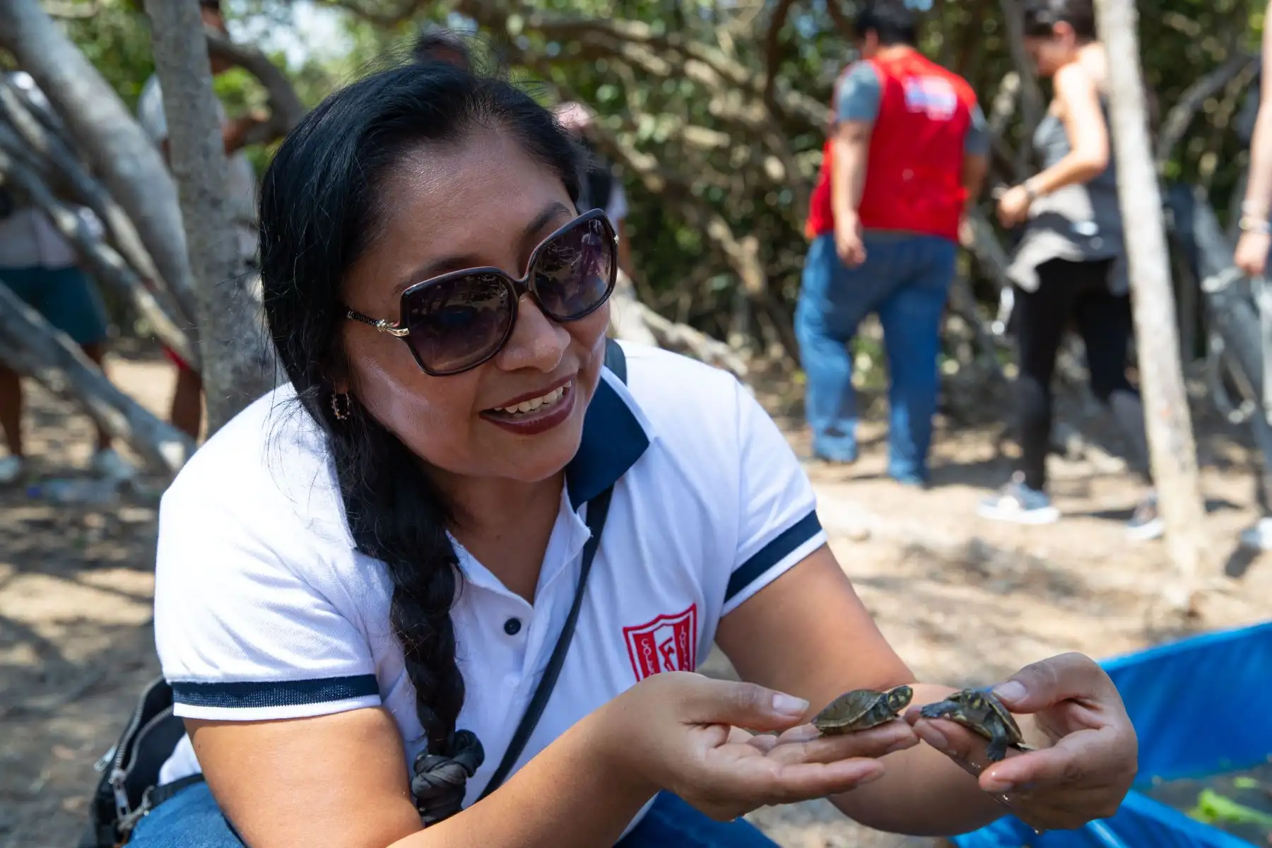 Durante la liberación de tortugas taricayas en su edición de noviembre de 2024, a orillas del río Nanay en la playa Tipishca, ubicada en la comunidad de San José de Lupuna, en la región Loreto, participaron escolares, universitarios y vecinos de la misma localidad. Foto: ANDINA/Daniel Bracamonte