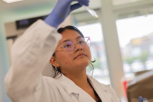 En la oferta de programas de maestría se hallan Ciencias Biológicas, Data Science, Economía, Educación, Gobierno y Políticas Públicas, Física, entre otras. Foto: ANDINA/Difusión