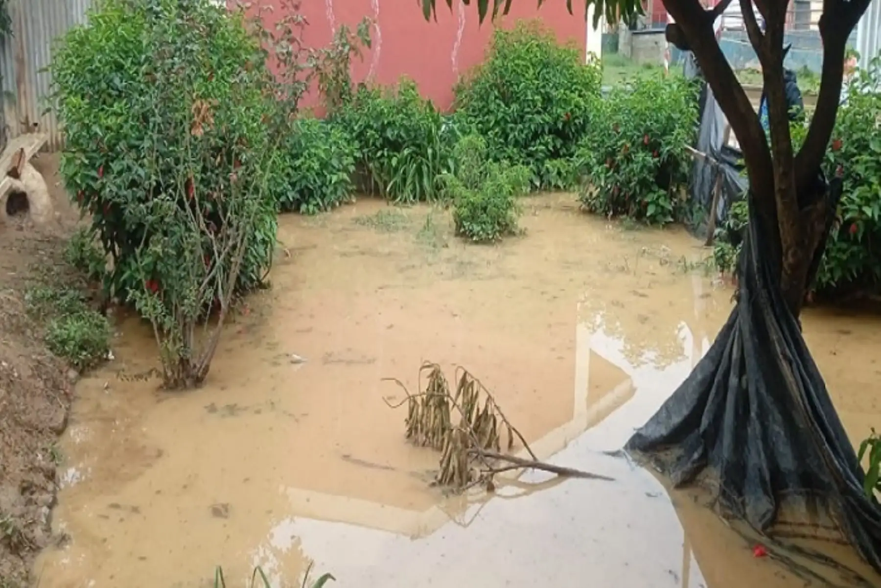 Las intensas lluvias  pueden provocar deslizamientos, huaicos u otro tipo de movimientos en masa. ANDINA/Difusión